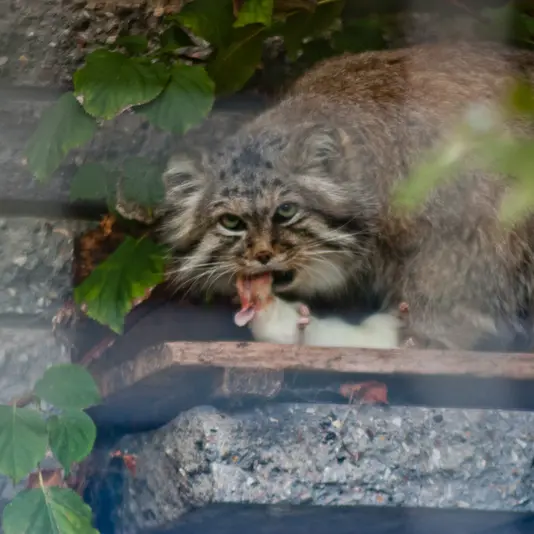 A photograph of Jonathan in Magdeburg Zoo