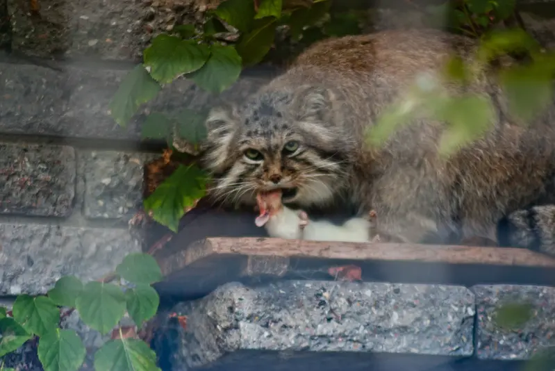 A photograph of Jonathan in Magdeburg Zoo
