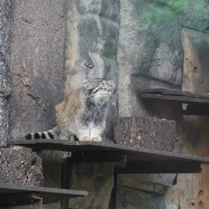 A photograph of Timofey in Moscow zoo