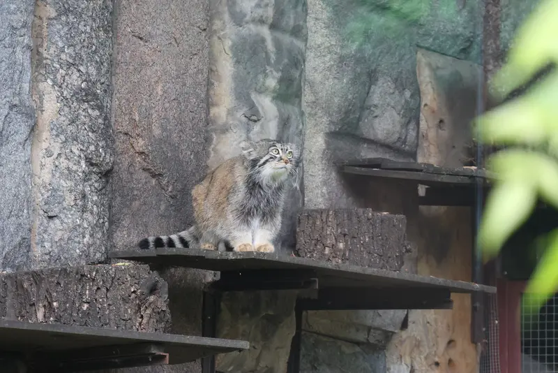 A photograph of Timofey in Moscow zoo