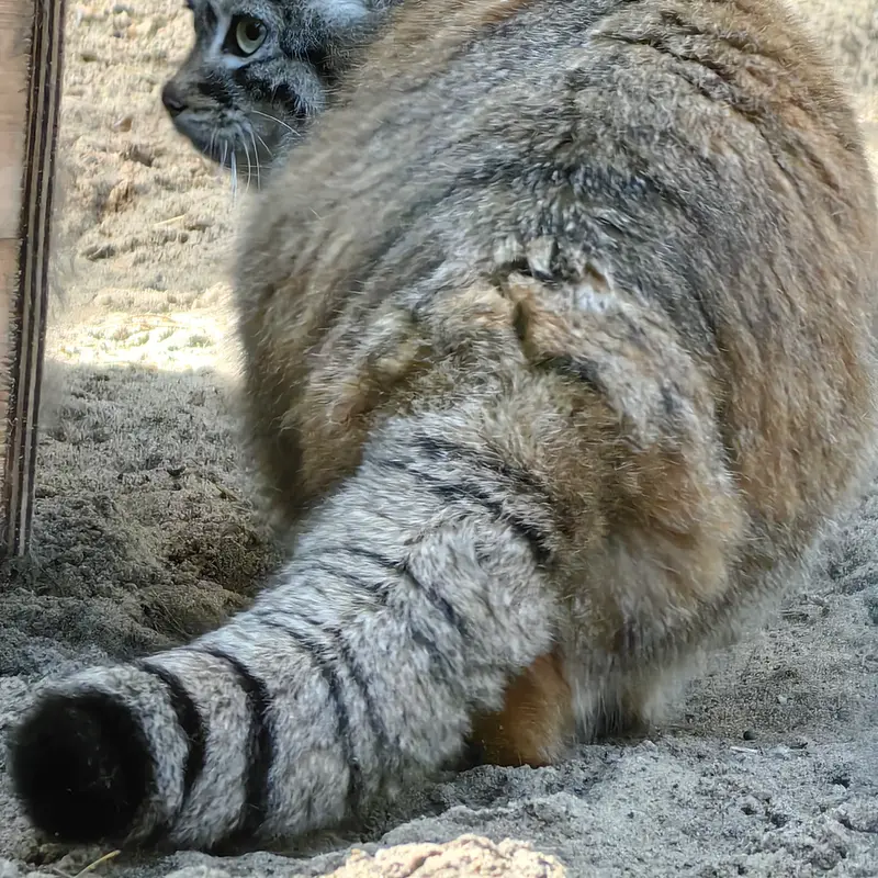 A photograph of Anya in Novosibirsk Zoo