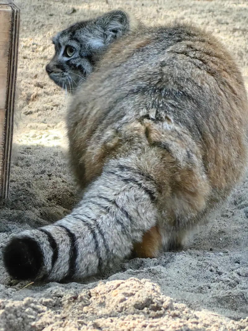A photograph of Anya in Novosibirsk Zoo