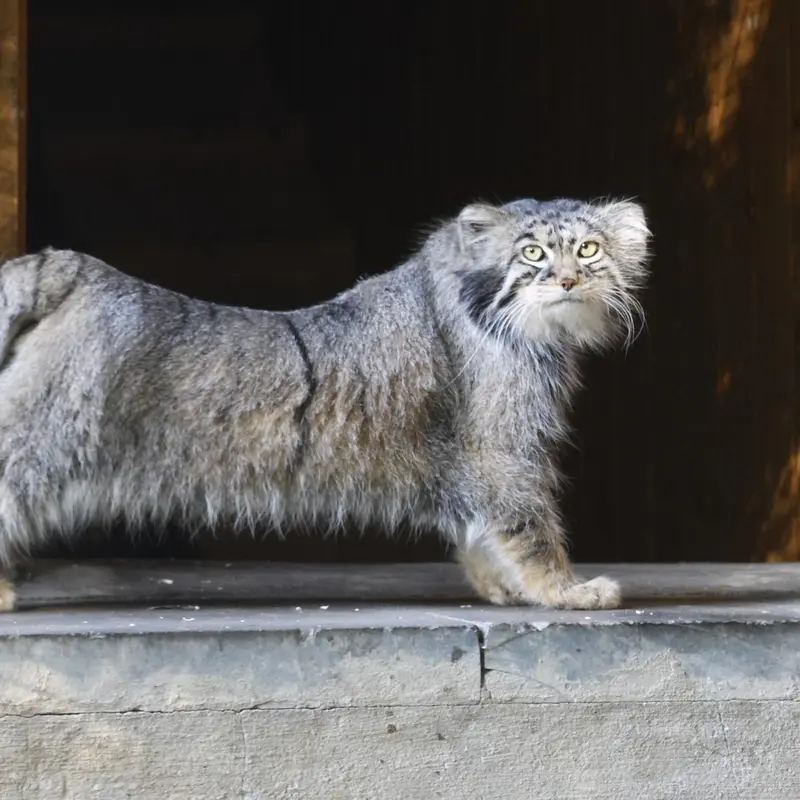 A photograph of Timofey in Moscow zoo