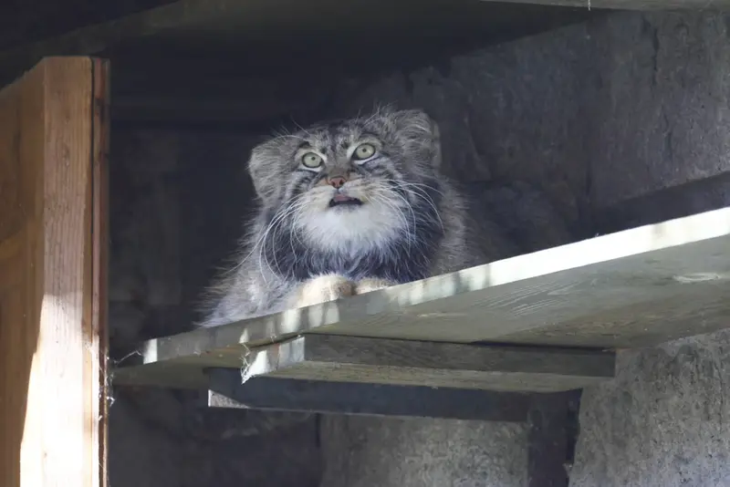 A photograph of Timofey in Moscow zoo