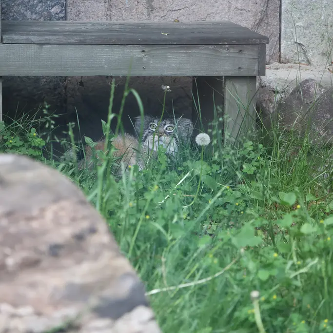 A photograph of Timofey in Moscow zoo
