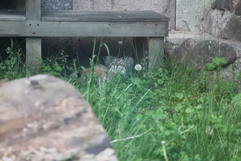 A photograph of Timofey in Moscow zoo