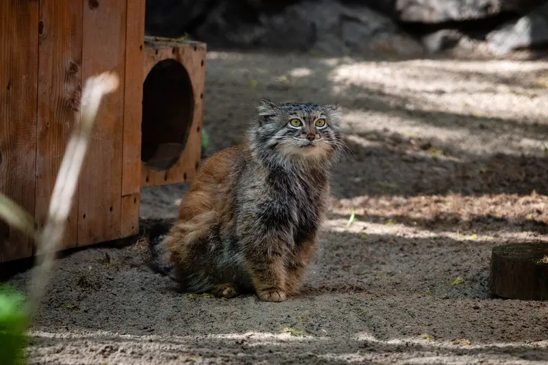 A photograph of Snezhana in Novosibirsk Zoo