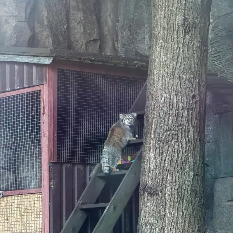 A photograph of Timofey in Moscow zoo