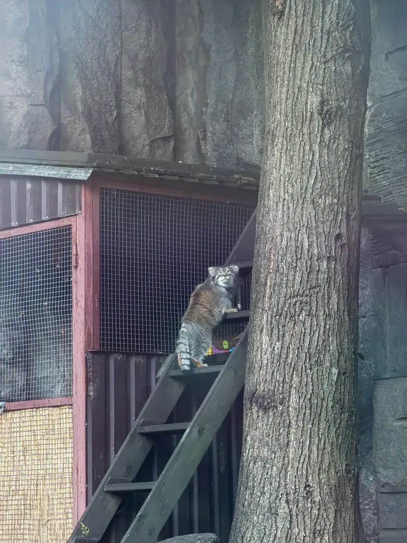 A photograph of Timofey in Moscow zoo