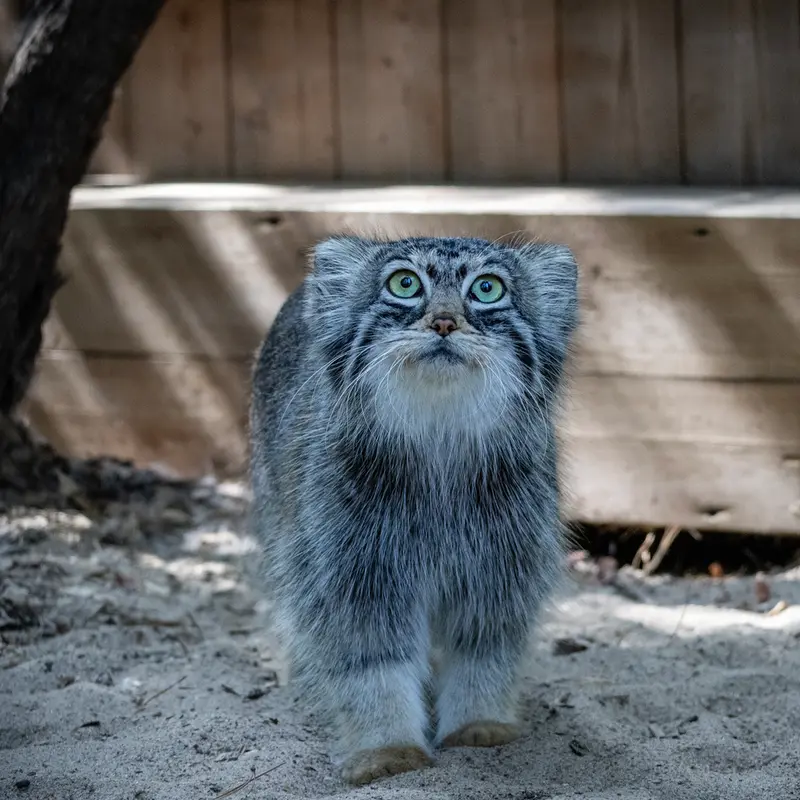 A photograph of Anya in Novosibirsk Zoo