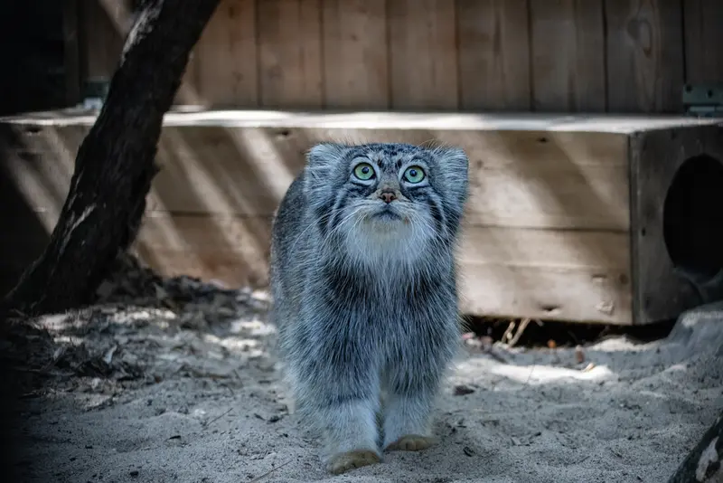 A photograph of Anya in Novosibirsk Zoo