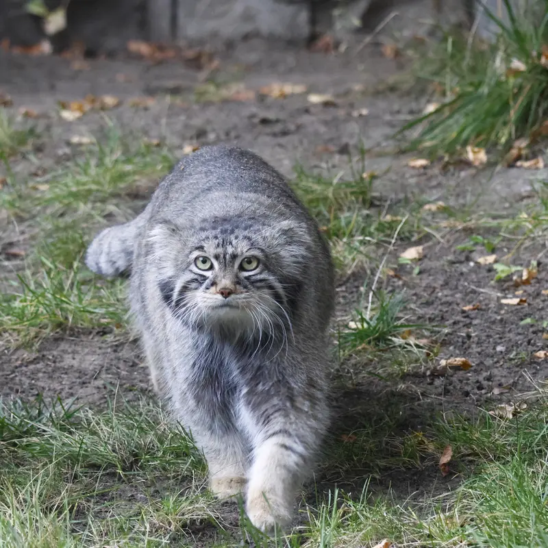 A photograph of Timofey in Moscow zoo