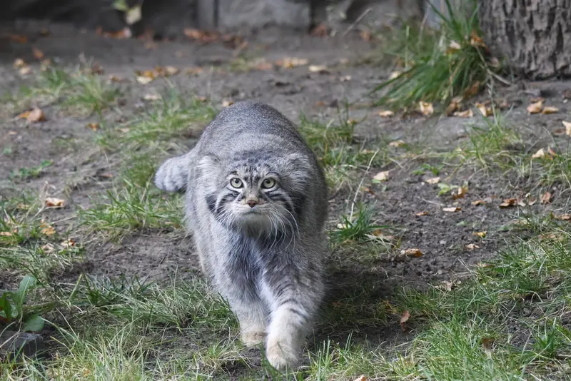 A photograph of Timofey in Moscow zoo
