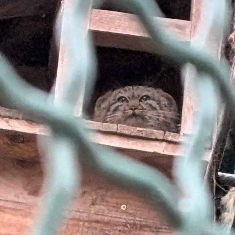 A photograph of Lucy in Budapest Zoo &amp; Botanical Garden