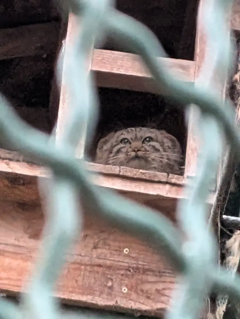 A photograph of Lucy in Budapest Zoo &amp; Botanical Garden