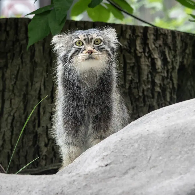 A photograph of Timofey in Moscow zoo