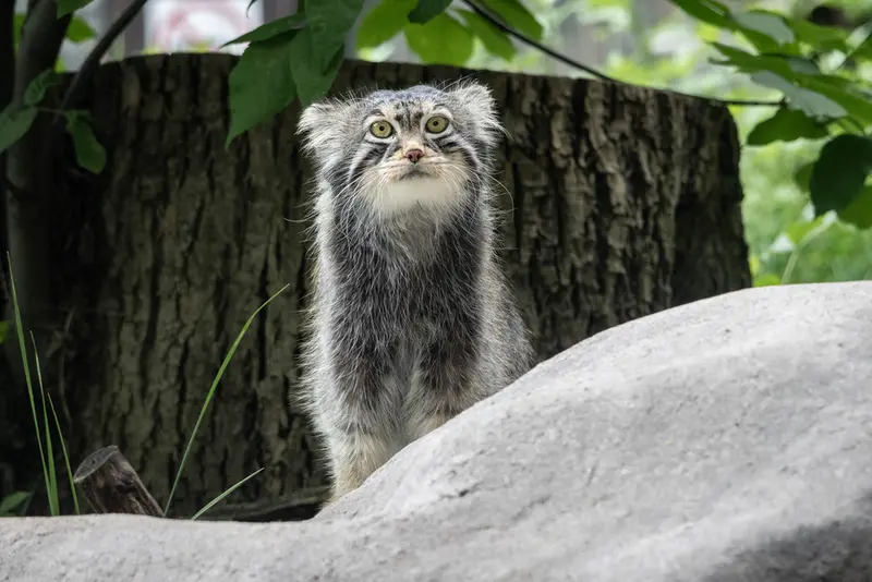 A photograph of Timofey in Moscow zoo
