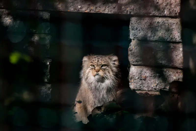 A photograph of Manuela in Magdeburg Zoo