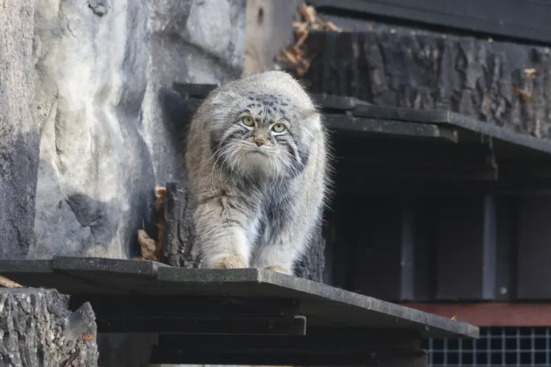 A photograph of Timofey in Moscow zoo