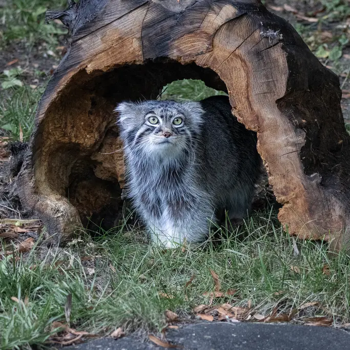 A photograph of Timofey in Moscow zoo