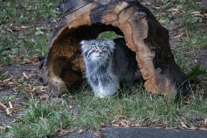 A photograph of Timofey in Moscow zoo