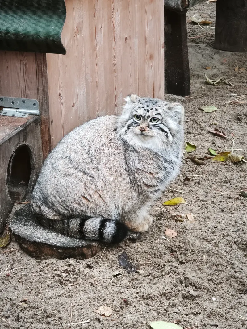 A photograph of Anya in Novosibirsk Zoo