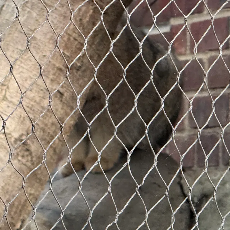 A photograph of Sarnai in Prospect Park Zoo
