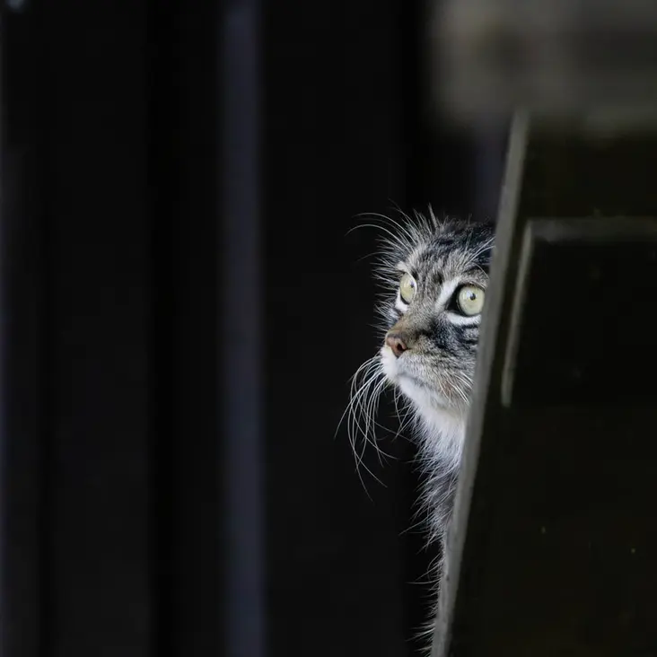 A photograph of Timofey in Moscow zoo