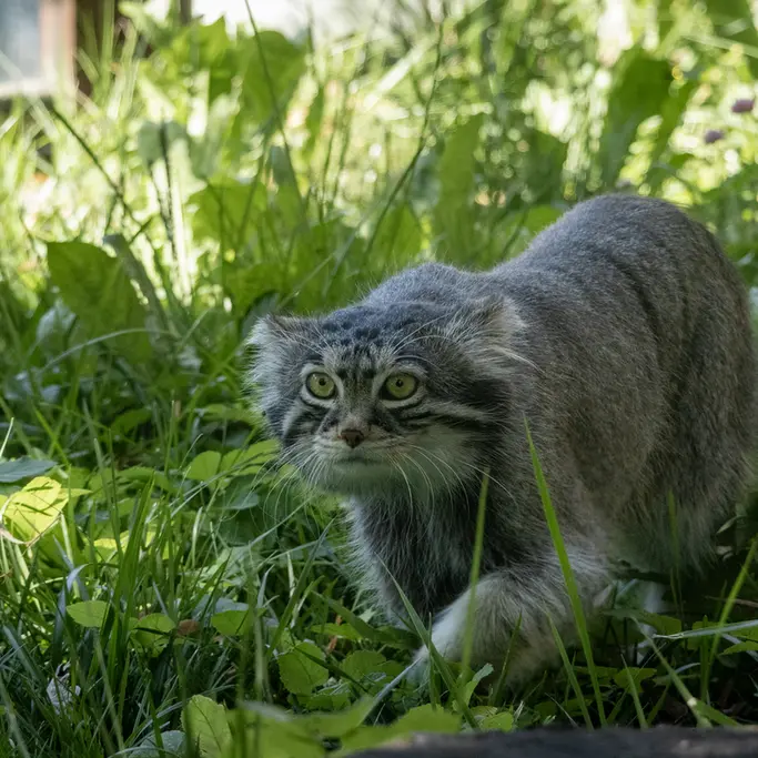 A photograph of Timofey in Moscow zoo