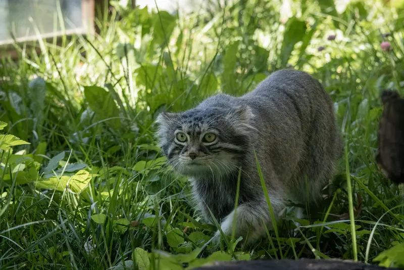 A photograph of Timofey in Moscow zoo
