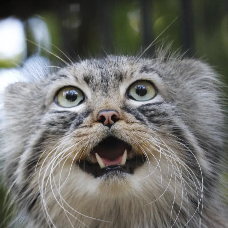 A photograph of Gabi in Novosibirsk Zoo