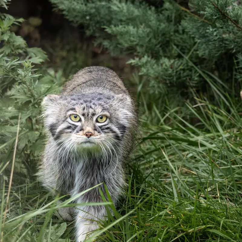 A photograph of Timofey in Moscow zoo
