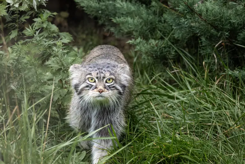 A photograph of Timofey in Moscow zoo