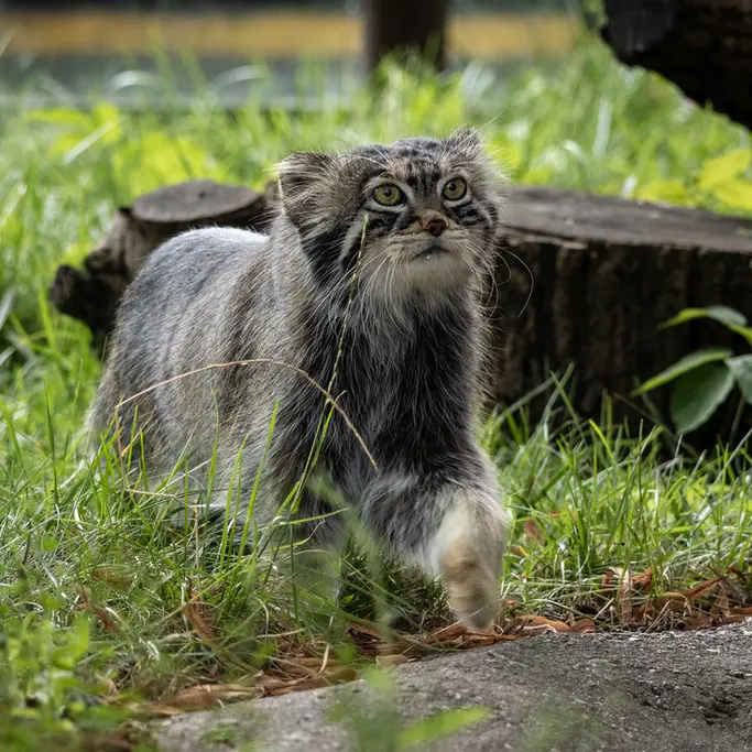 A photograph of Timofey in Moscow zoo