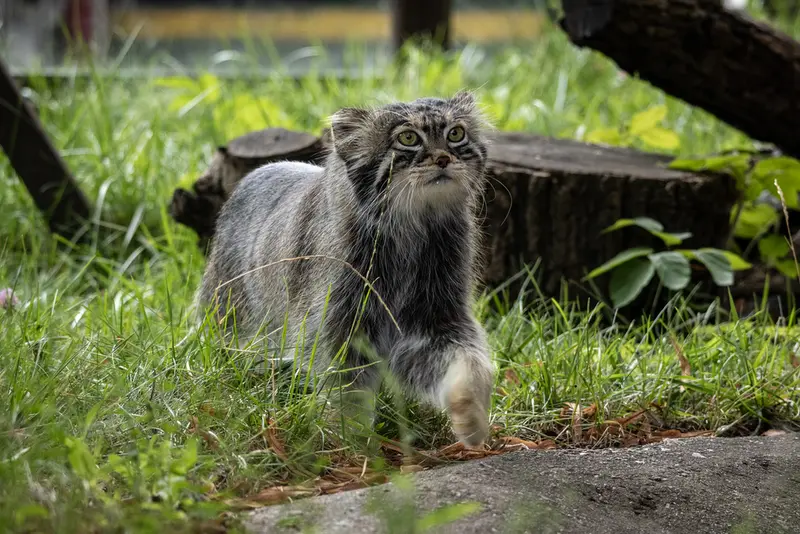 A photograph of Timofey in Moscow zoo