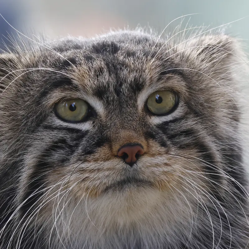 A photograph of Timofey in Moscow zoo