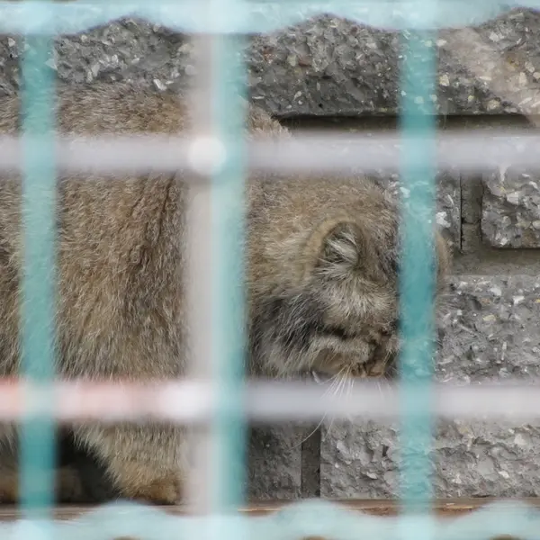 A photograph of Jonathan in Magdeburg Zoo