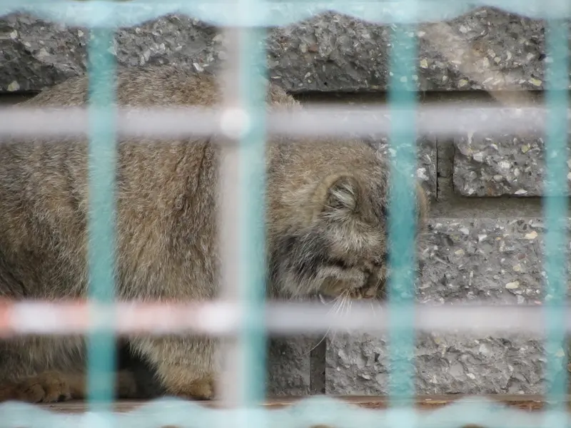 A photograph of Jonathan in Magdeburg Zoo