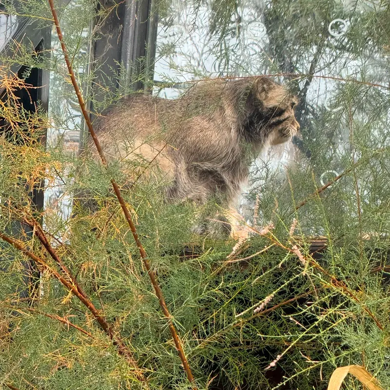 A photograph of Spay in Prague Zoo