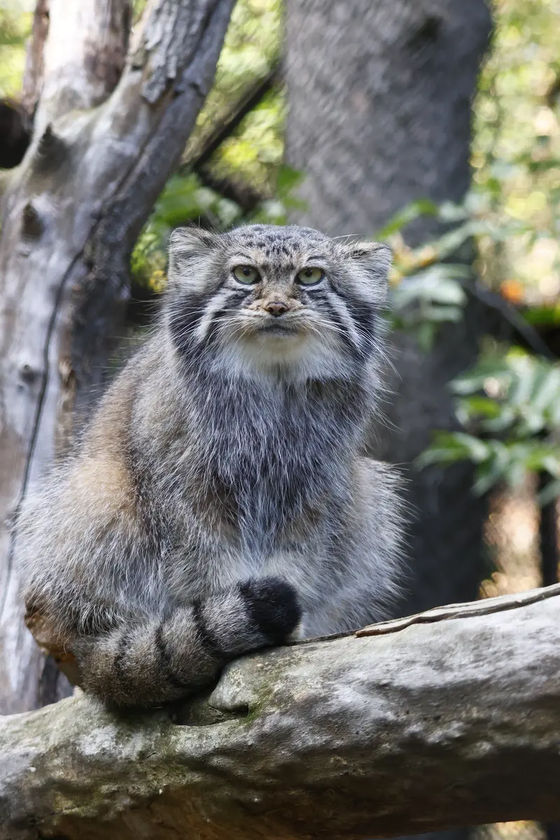 A photograph of Eve in Novosibirsk Zoo
