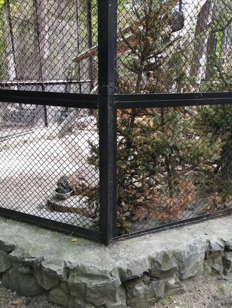 A photograph of Zelenogorsk in Novosibirsk Zoo