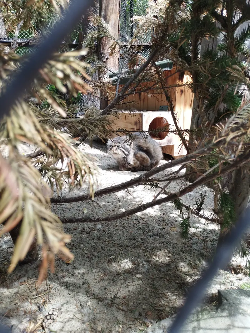 A photograph of Zelenogorsk in Novosibirsk Zoo