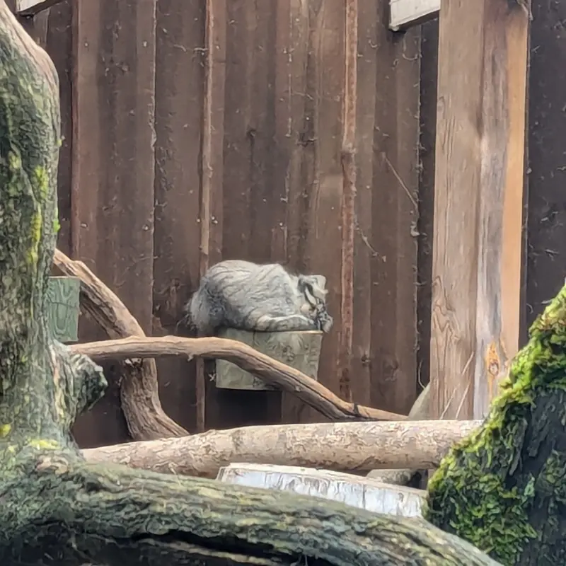 A photograph of Mars in Tallinn Zoo