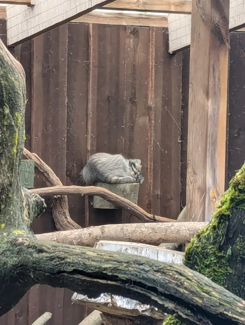A photograph of Mars in Tallinn Zoo
