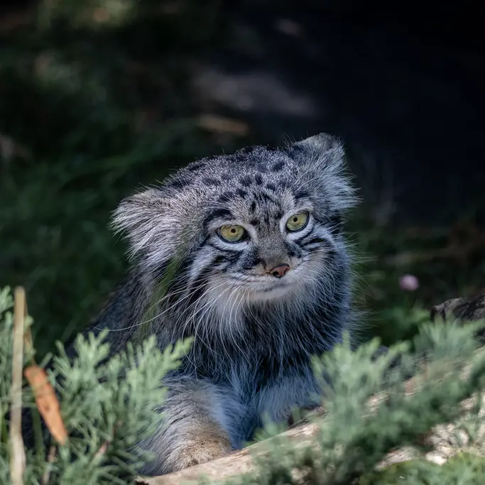 A photograph of Timofey in Moscow zoo