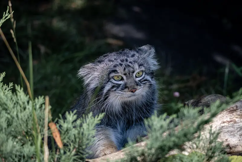 A photograph of Timofey in Moscow zoo