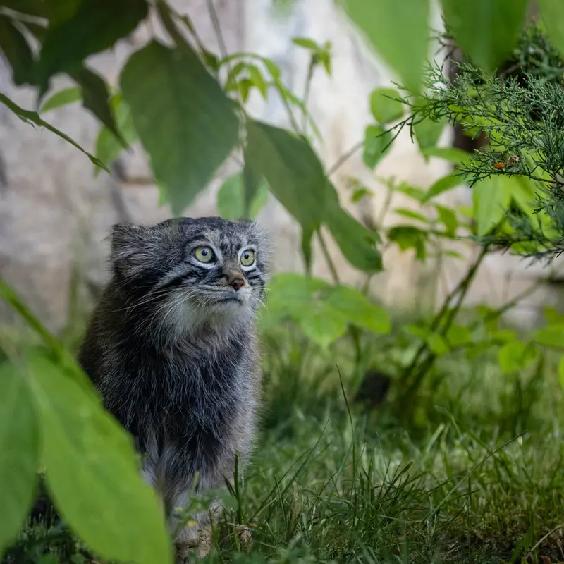 A photograph of Timofey in Moscow zoo