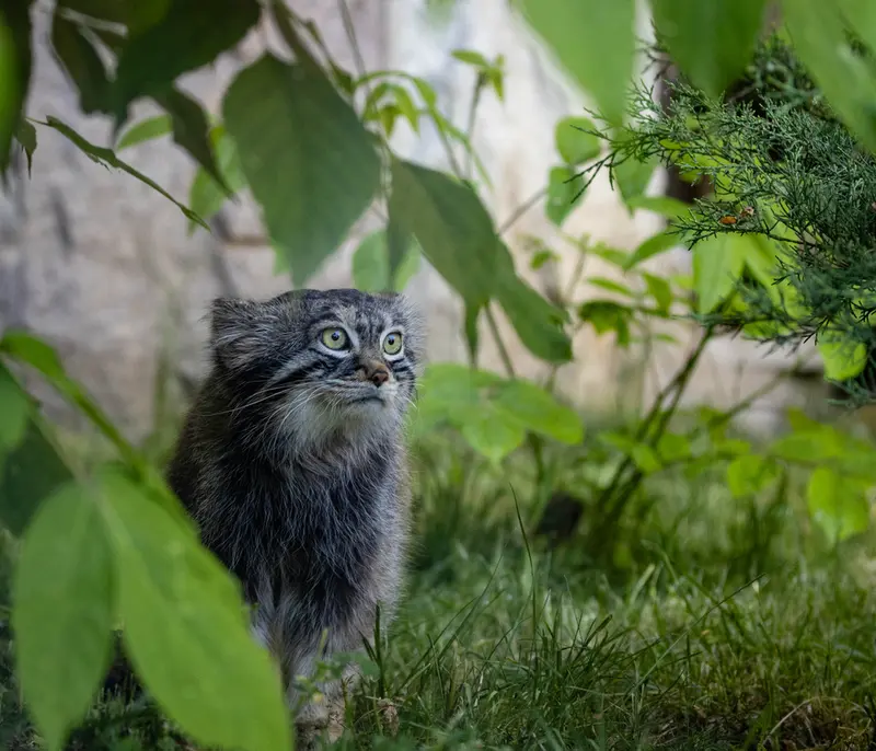 A photograph of Timofey in Moscow zoo