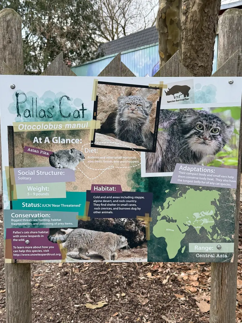 A photograph of Pazi in Potter Park Zoo