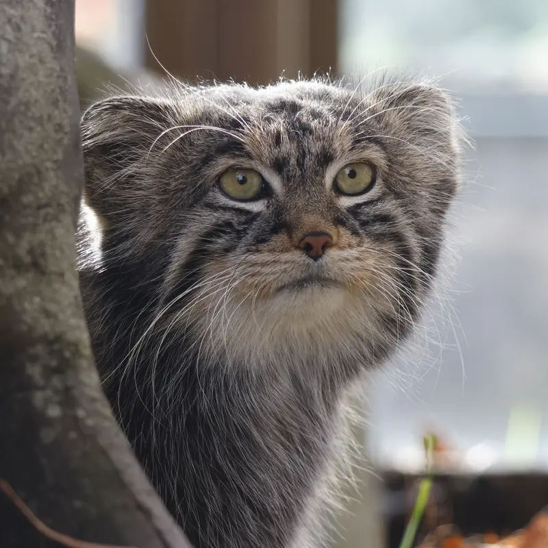 A photograph of Timofey in Moscow zoo